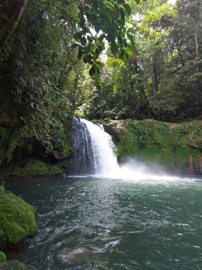 Cabana Para Vacacionar Rio Sarapiquí Dış mekan fotoğraf